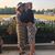 Kylee Yocum's profile image