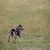Mindy Ricker's profile image