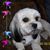 Marci Wiessinger's profile image