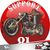Paolo Arlotta's profile image