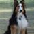 Brogan Swisher's profile image