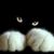 Jessica Vargas's profile image