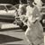 Sharon Greve Campbell's profile image