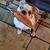 Becky Hendrickson Monska's profile image