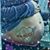 Cameron Wright's profile image