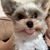 Brianne Hoffer Eddy's profile image