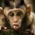 Paulette Cameron's profile image