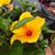 Mary Wolfram's profile image