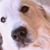 Tricia Johnson's profile image