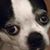 Shannon McKay's profile image