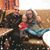 Kristin Fucci's profile image