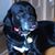 Diane M Rollie's profile image