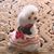Linda Slavin's profile image