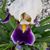 Dorothy Mason's profile image
