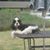 Tawney Harper's profile image