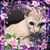 Pamela Wiedman's profile image