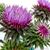 Tara Cadenhead's profile image