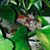 Cindi Hawke's profile image