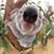 Beth McNellis Lammers's profile image
