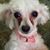 Beverly Allen's profile image