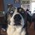 Nikki Schultz Wilburn's profile image