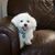 Kathy Esselstein's profile image
