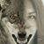 Mandy Martin's profile image