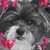 Dawn Mackie's profile image