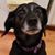 Juanita Newton Exceen's profile image