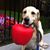 Jami Sackett Mika's profile image