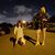 Cynthia Rodriguez Padron's profile image