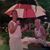 Liz Huber Webb's profile image