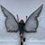 Windom Tilton's profile image