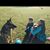 Tammy Holcomb's profile image