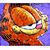 Kathryn Schmidt Johnson's profile image