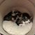 Jennifer Lynn Cilley's profile image