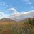 Cyndie Forsythe Griggs's profile image