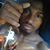 Ralph Raffy Ralf's profile image