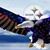 Rob Droese's profile image