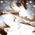 Karen Corrigan Angell's profile image