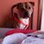 Christopher Green's profile image