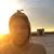 Expedito Pichardo's profile image