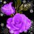 Bonnie Lou's profile image