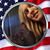 Lisa Scanlan's profile image