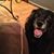 Jamie B Flynt's profile image