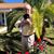 Dennis Ellard's profile image