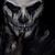 Michael Van Dyke's profile image