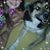 MaryAnn Fronabarger's profile image