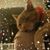 Robin Helbig's profile image