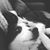 Maria Elizabeth Masiado's profile image